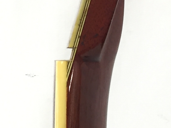 Morris TFシリーズ W-100 ハードケース付属 MORRIS W-100