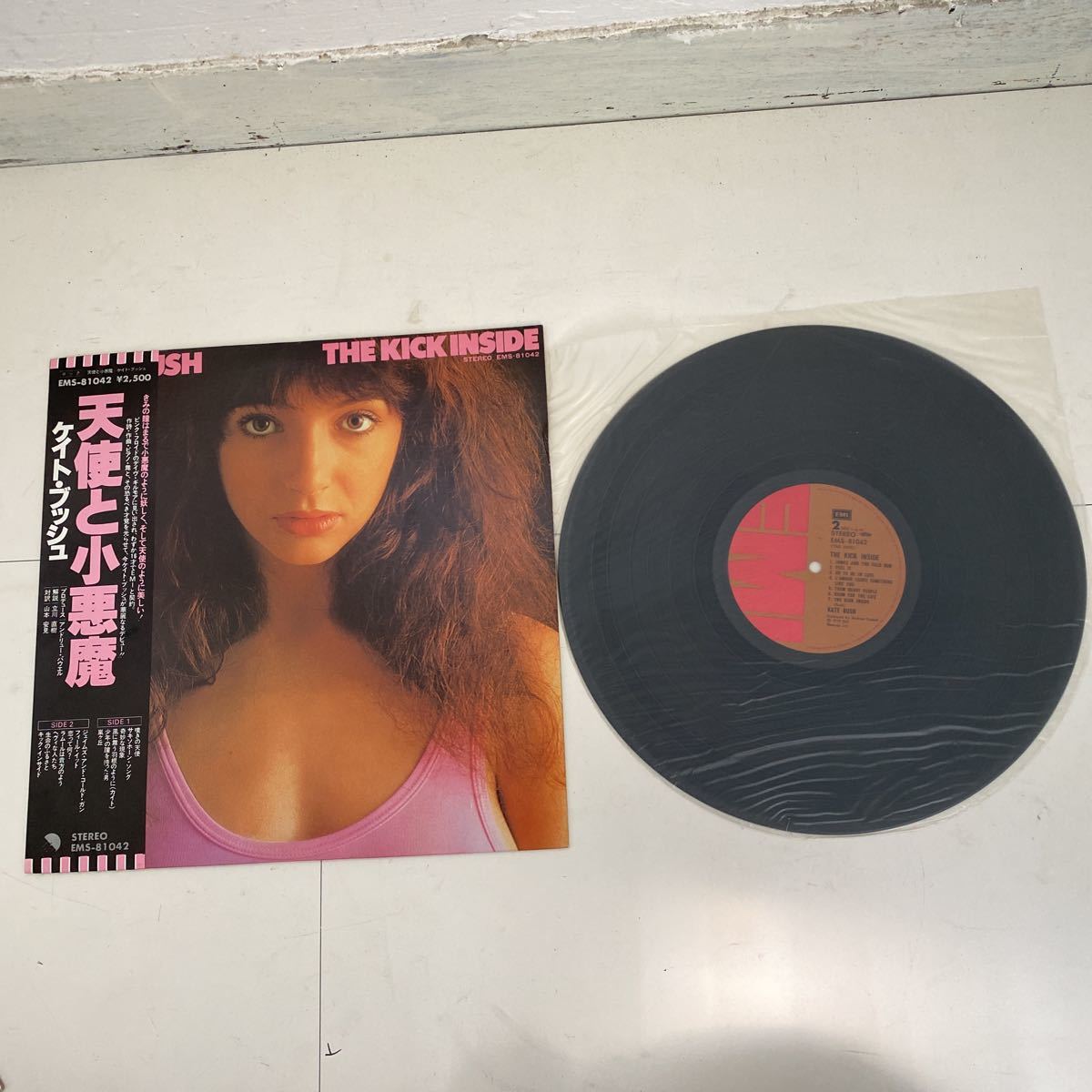 Kate Bush ケイト・ブッシュ The BUSH KATE LPレコード Love レコード
