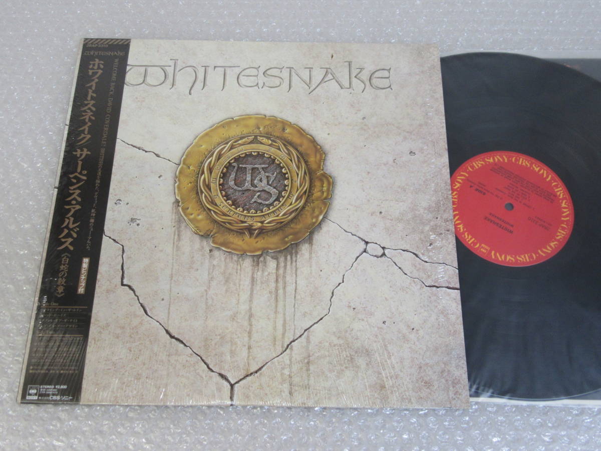 LP▲ホワイトスネイク[サーペンス・アルバス・白蛇の紋章]帯付/ピンナップ付/WHITESNAKE