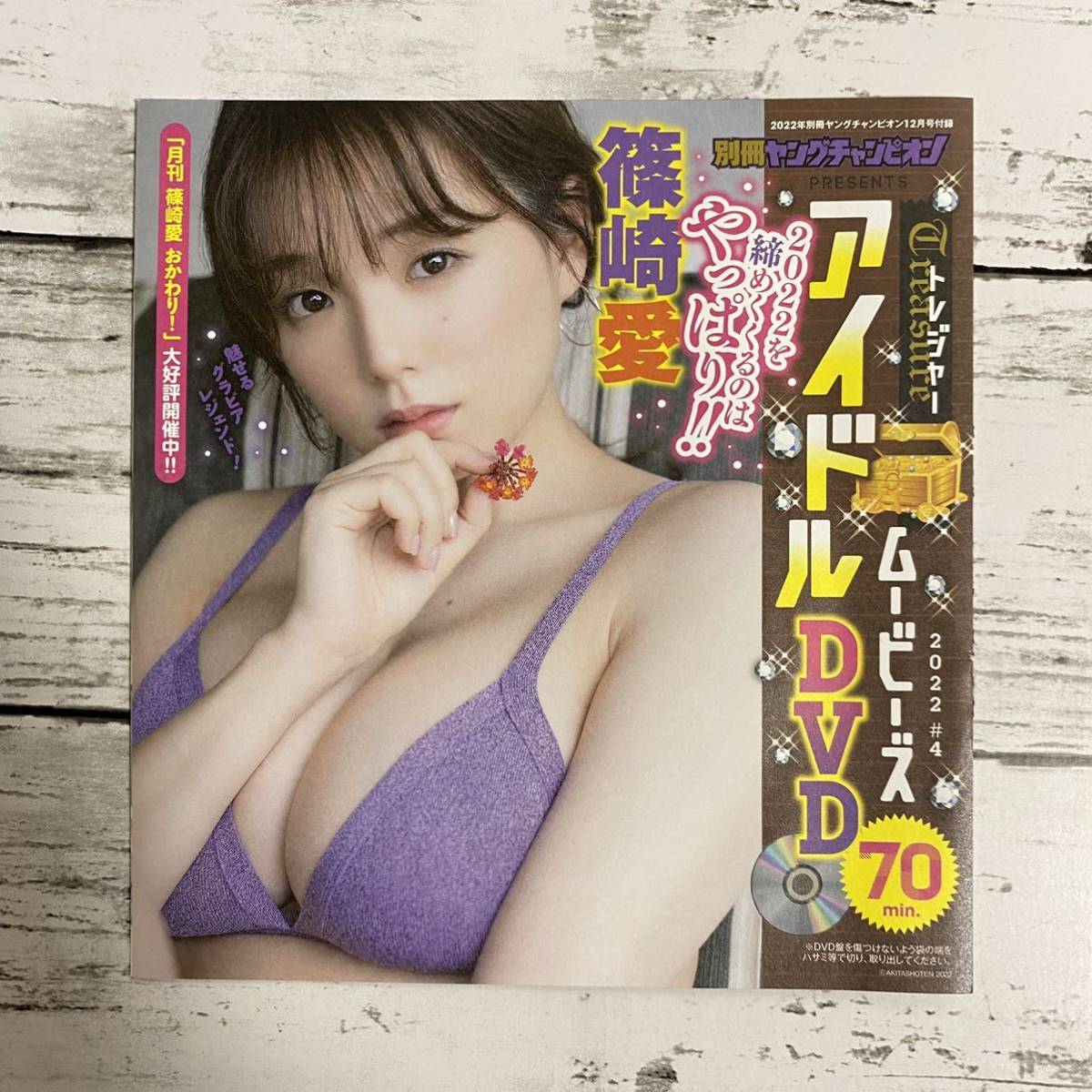 12枚 グラビアアイドル アイドル DVD 付録 非売品 ヤングチャンピオン 
