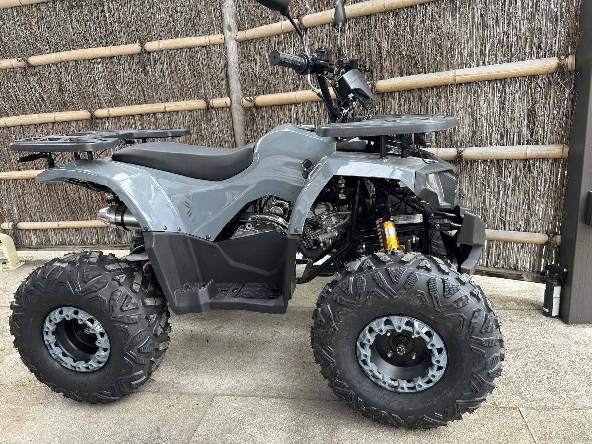 RED ZONE ATV BIGバギー 未走行、画像撮影使用後、展示中車体 RZ－G 