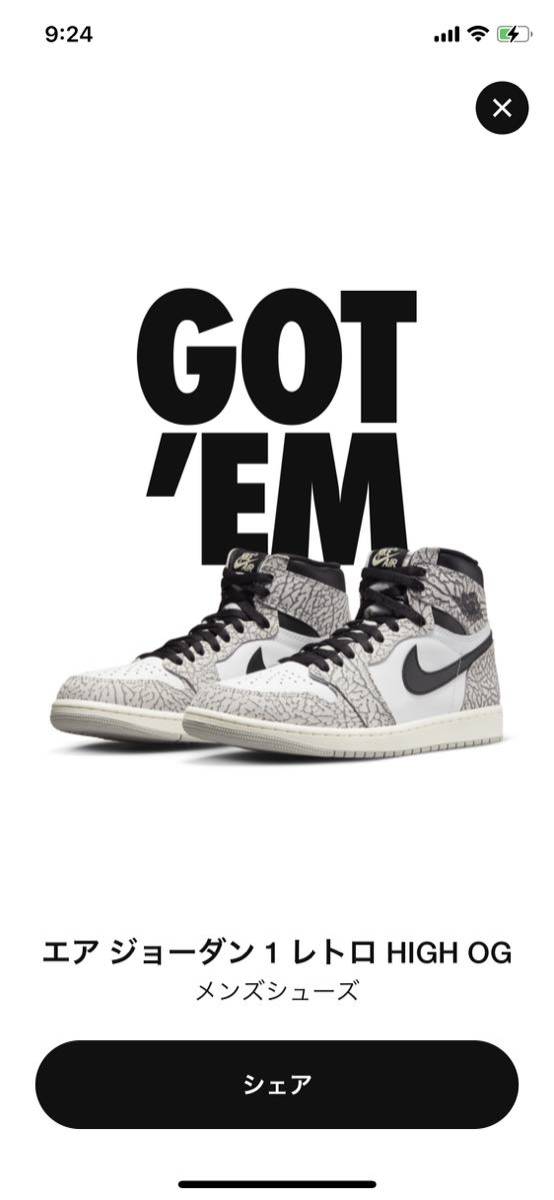 Nike Air Jordan 1 High OG White Cement 30cm DZ5485-052 US12 Jordan