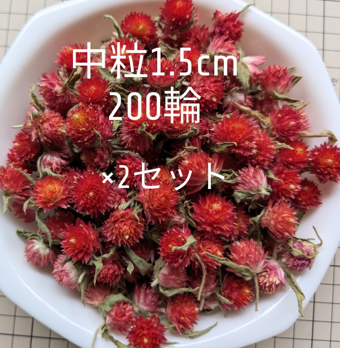 千日紅　ストロベリーフィールド200輪×2セット　ピンク500輪×2セット