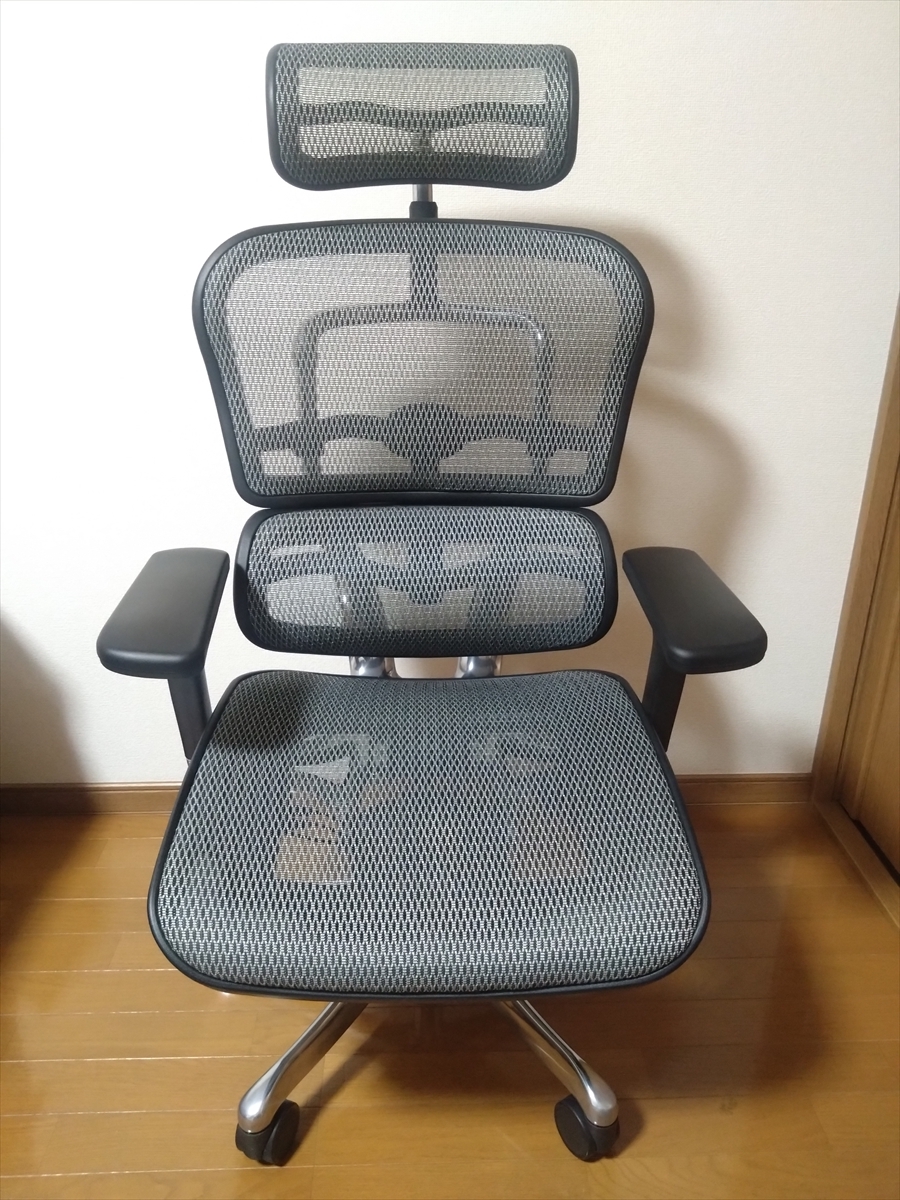 エルゴヒューマン Ergohuman プロ ヘッドレスト付 グレー WORKAHOLIC購入品 ワンオーナー 非喫煙環境