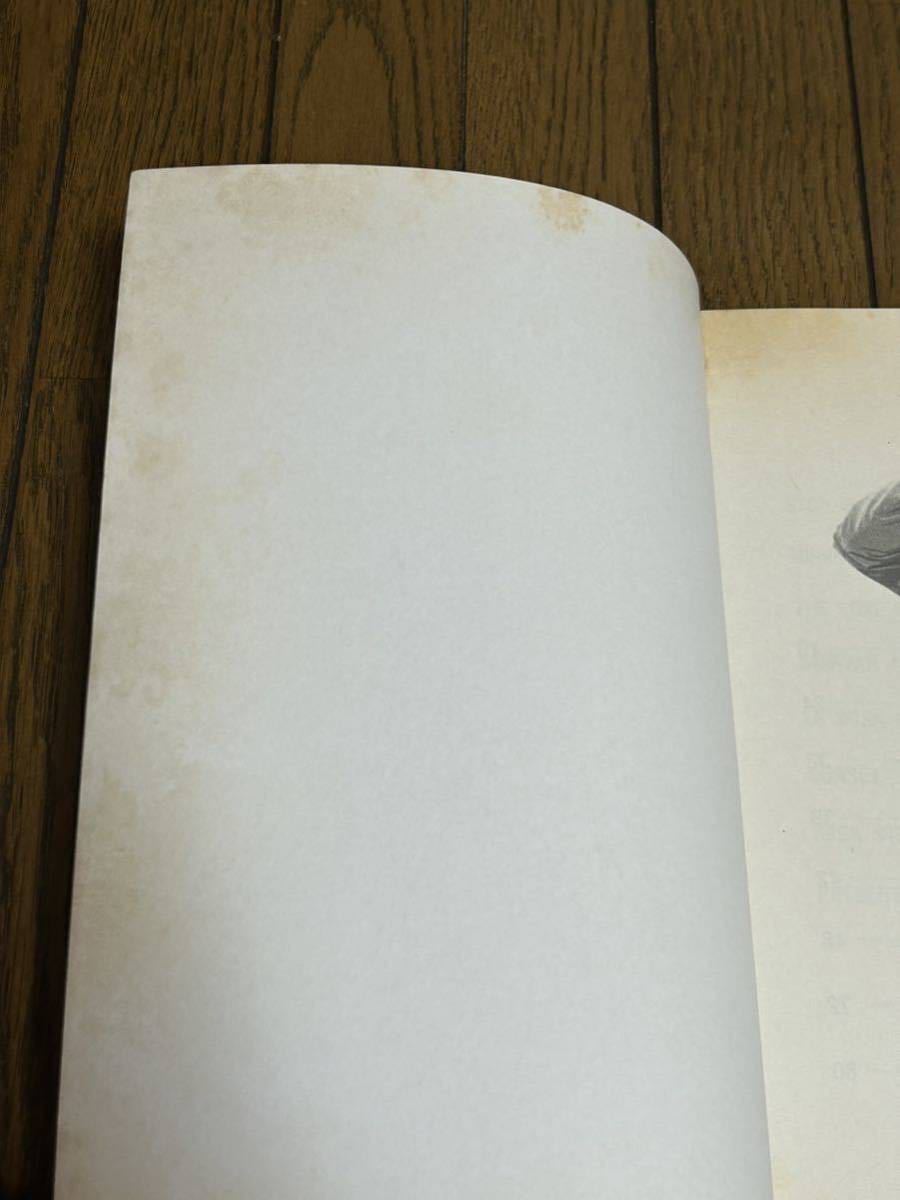 高橋ユキヒロ バンドスコア 高橋幸宏 楽譜 坂本龍一 YMO スコア