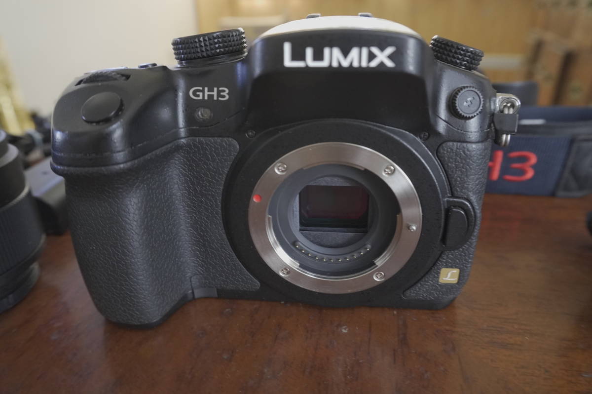 Panasonic パナソニック LUMIX DMC-GH3 レンズ2本キット DMC-GH3
