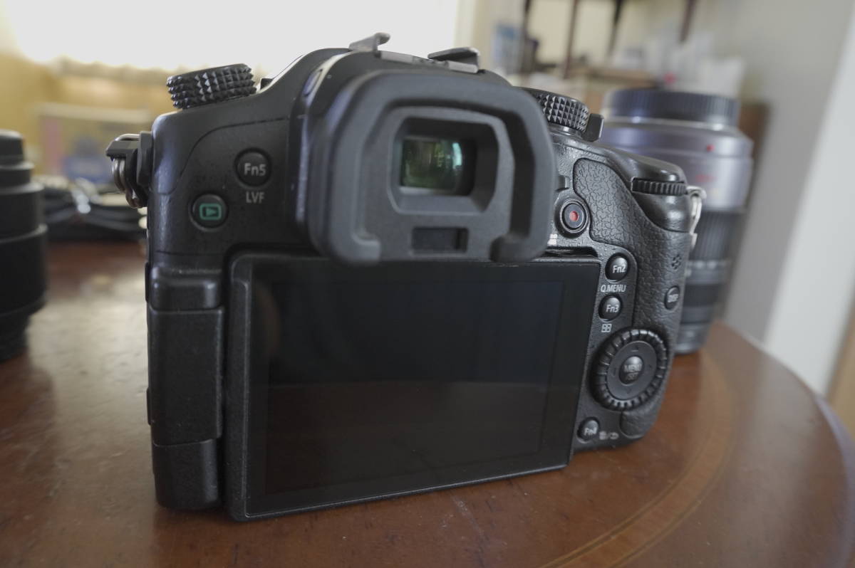 Panasonic パナソニック LUMIX DMC-GH3 レンズ2本キット DMC-GH3
