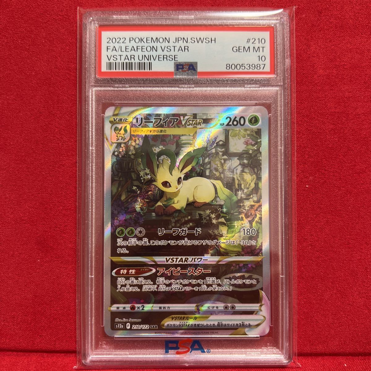 PSA10 リーフィアVSTAR SAR 210/172 【公式通販】