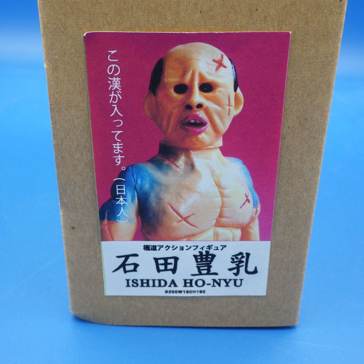 デハラユキノリ 石田豊乳 日本人 錦鯉 65/70(一般)｜売買された