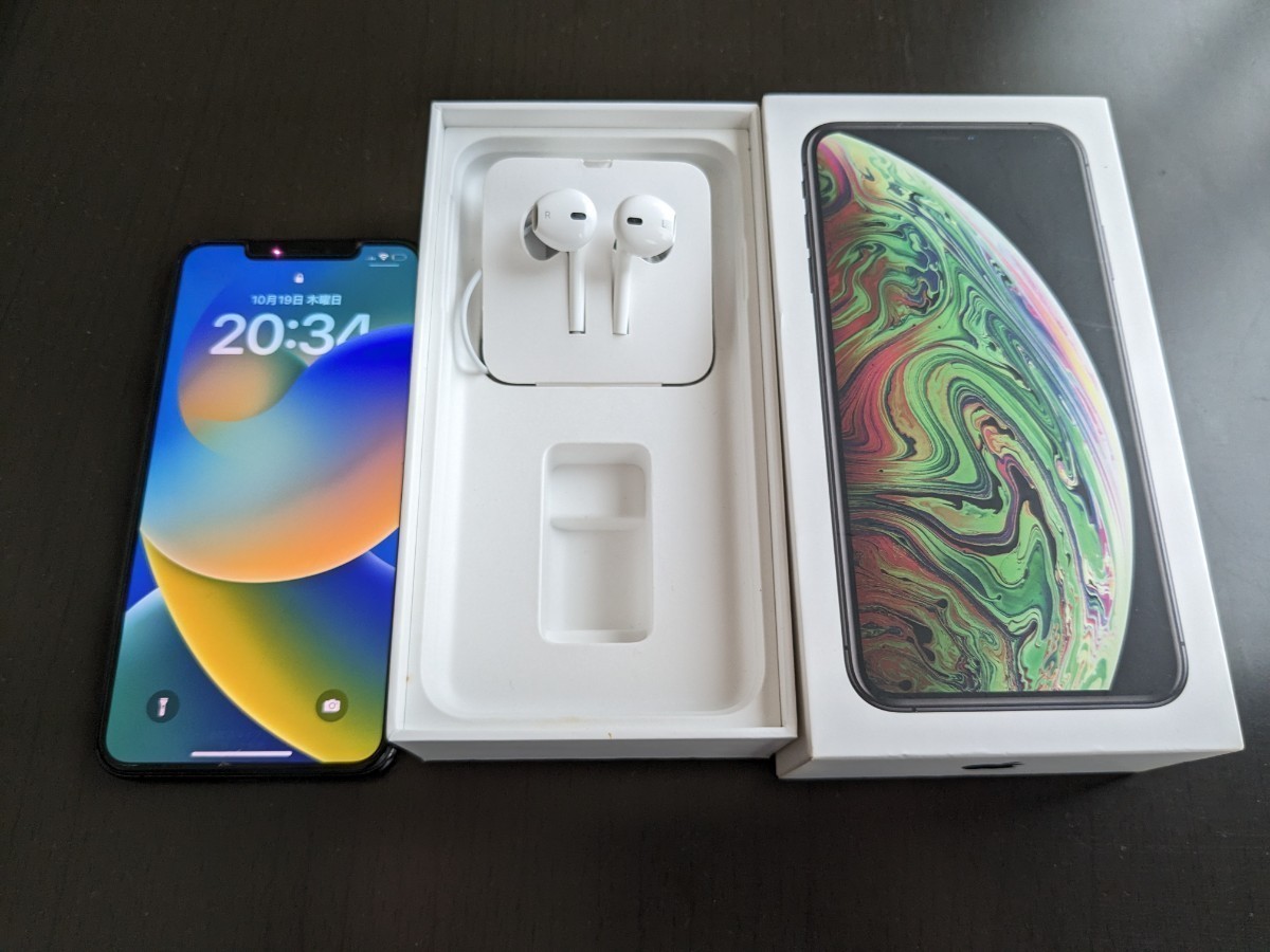 Max 256GB iPhoneXS シルバー SIMフリー iPhone XS シルバー色 国内版