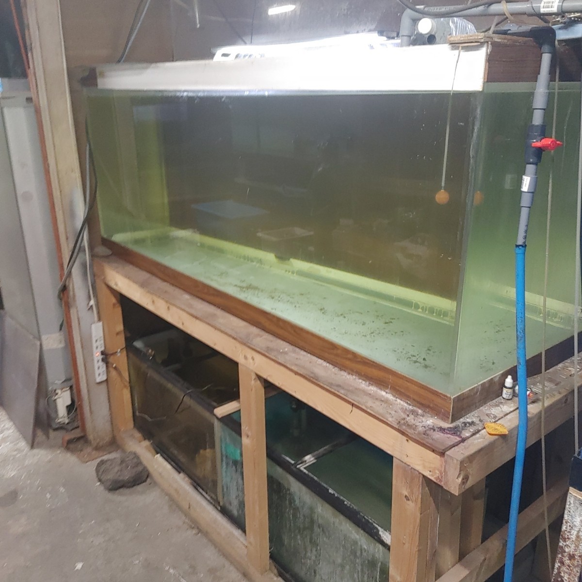 熱帯魚引退 アクリル水槽2000x800x800 サイドオーバーフロー(180cm 