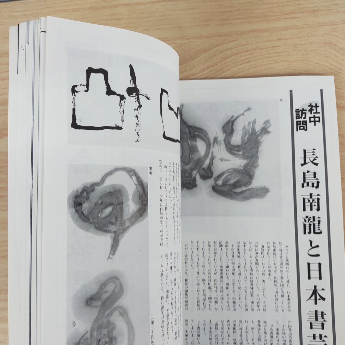 B2310056 月刊書道藝術 1989年1月号 現代書の巨星 大平山濤 書道団体の徹底研究 正筆会 幽玄なる美 茶道具取合せ 毎日書道展40周年海外展_8