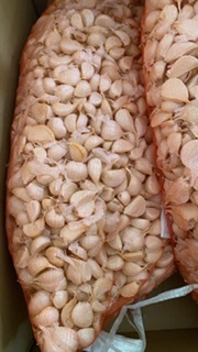 青森県 バラにんにく20Kg M 種可能 青森県 バラにんにく20Kg MS 種おすすめ