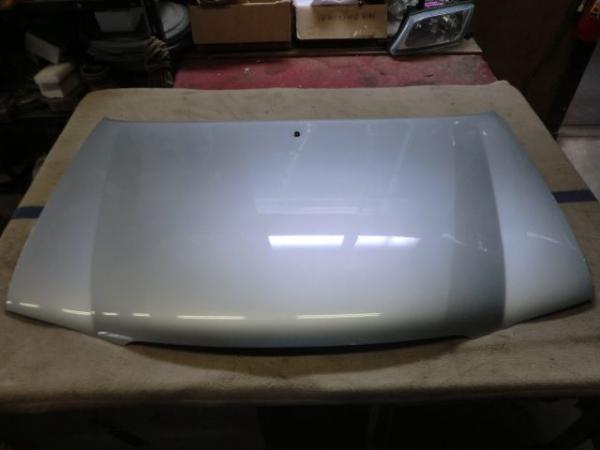 テリオスキッド ボンネットフードパネル・J111G