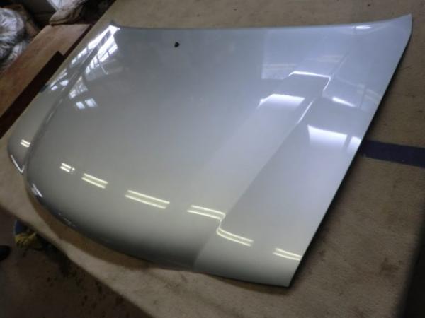 テリオスキッド ボンネットフードパネル・J111G