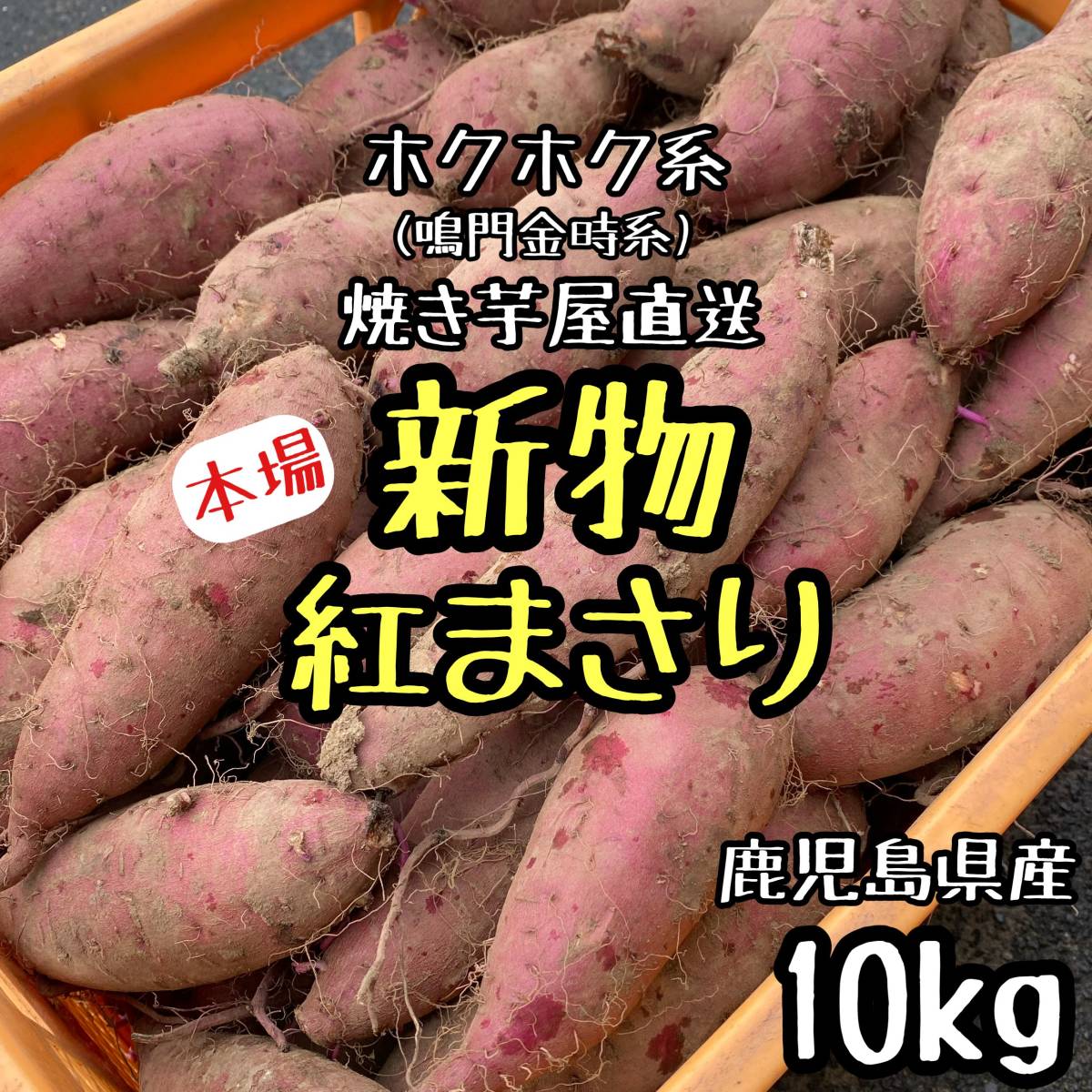 【秀品】熟成50日以上 本場鹿児島 紅まさり 10kg さつまいも b
