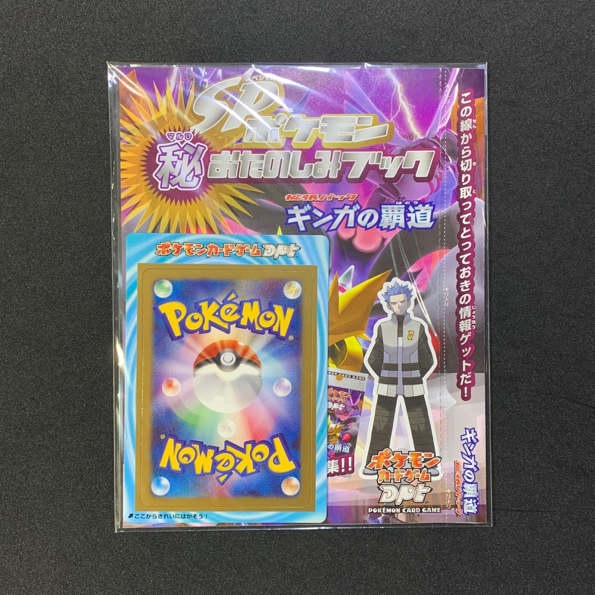 PSA10 306⁄S-P おいわいファンファーレ プロモ ピカチュウプロモ PSA10