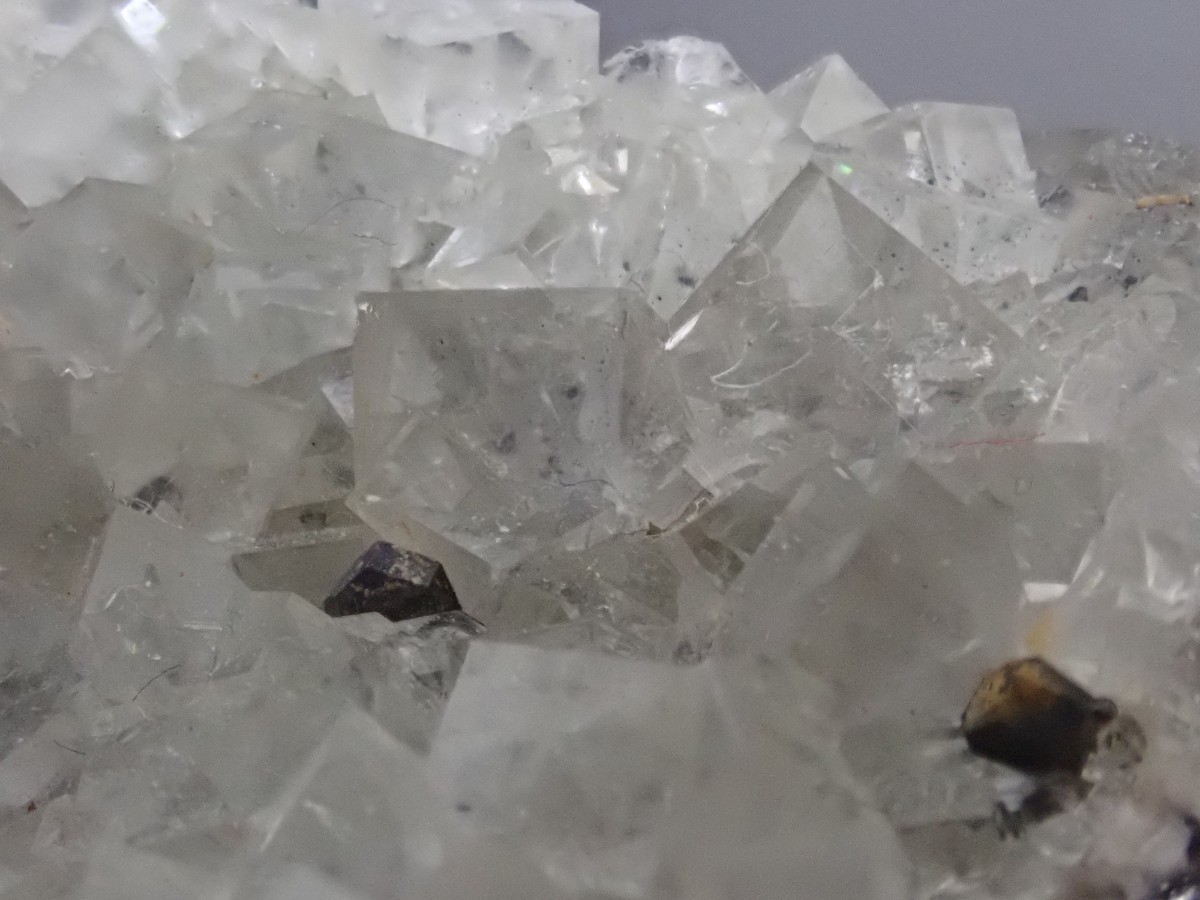 【希少鉱山Beihilfe Mine】カラーレスフローライト&ガレナ　蛍石&方鉛鉱　原石　標本