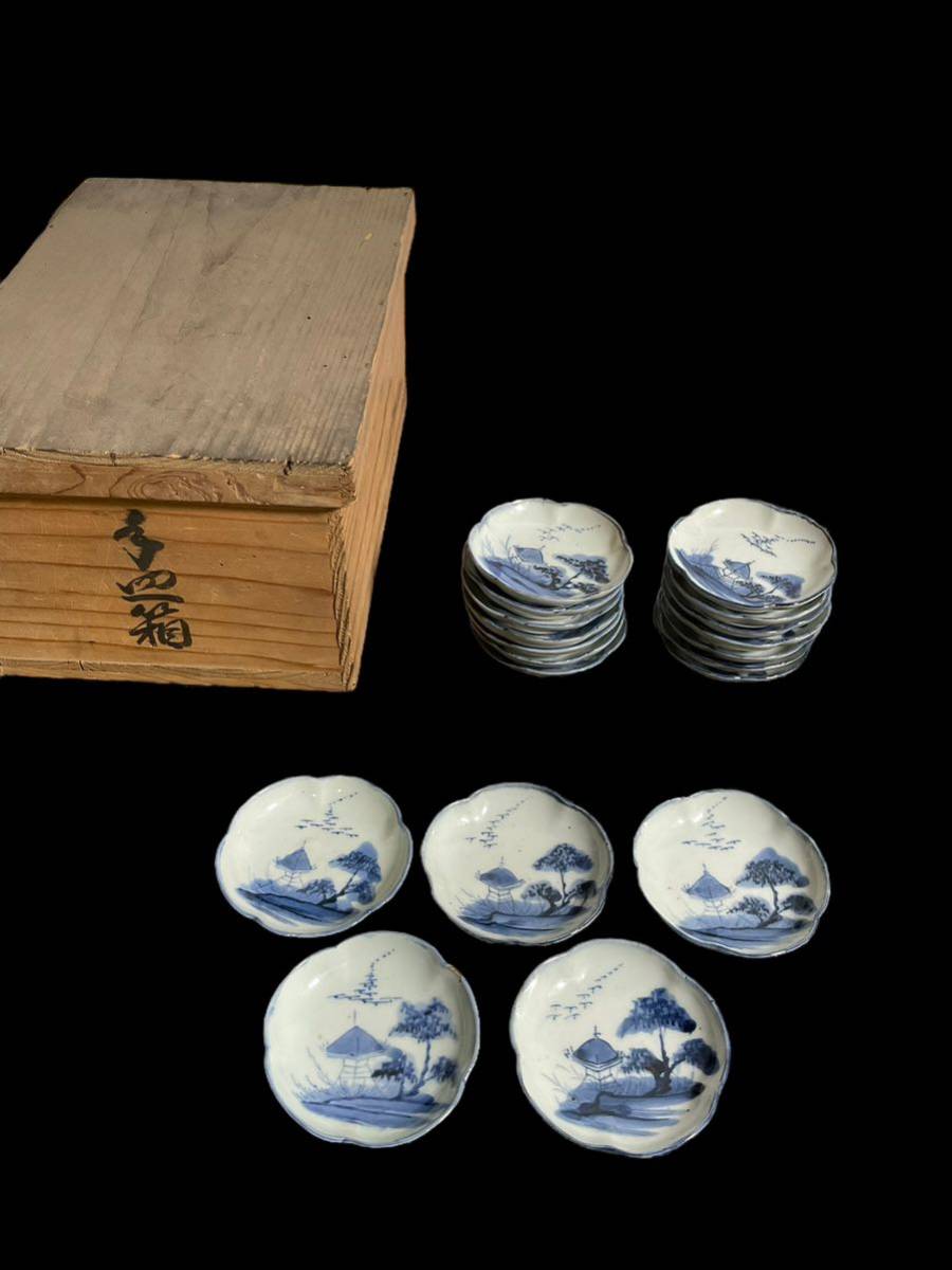 成化年製古伊万里染付雲龍文中皿 5枚 [B22473] 古伊万里