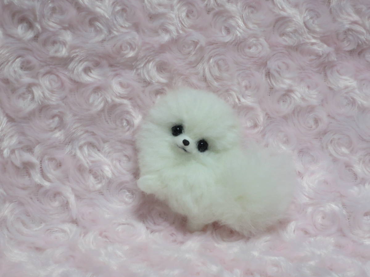 羊毛フェルト 犬 ポメラニアン 白 ホワイト しがみつきブローチ