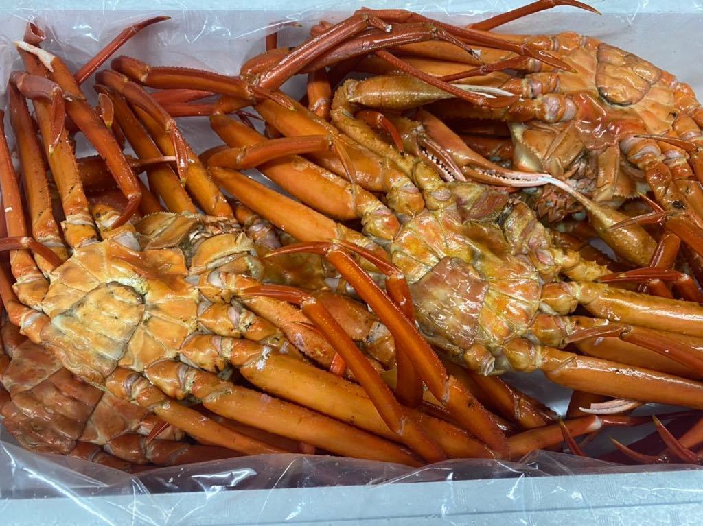 山陰境港産　冷凍　浜茹で紅ガニA級 7尾3.6k整体小爪カウント無し　タイトルだけではなく商品説明欄よくお読み下さい。