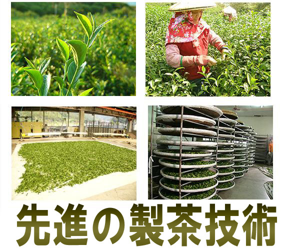 メール便送料無料 台湾 木柵鉄観音　烏龍茶75g ウーロン茶 お得 本格直輸入 本格茶葉 リーフ台湾茶 中国茶 美食同源_8