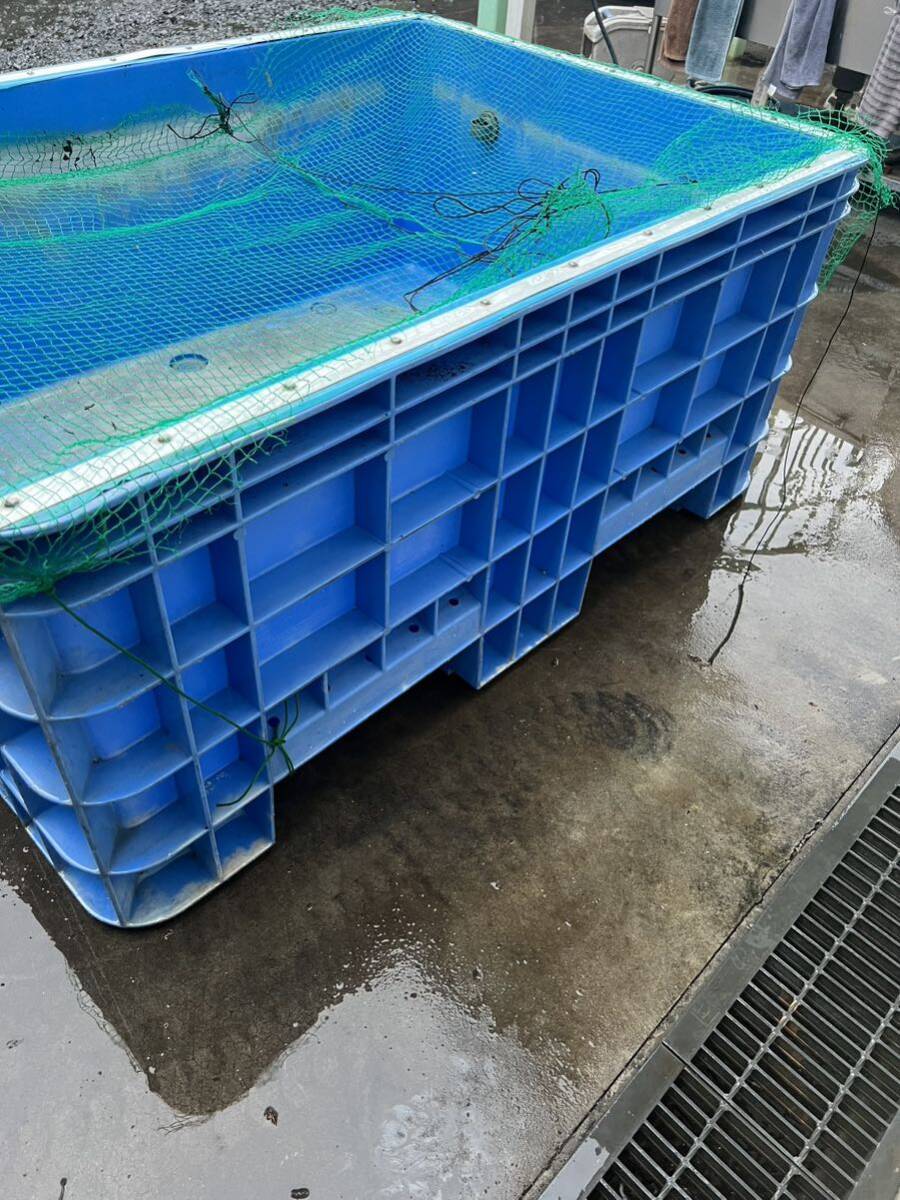 ジャンボックス サンコー 1000L ブルー サンボックス 錦鯉 金魚 大型