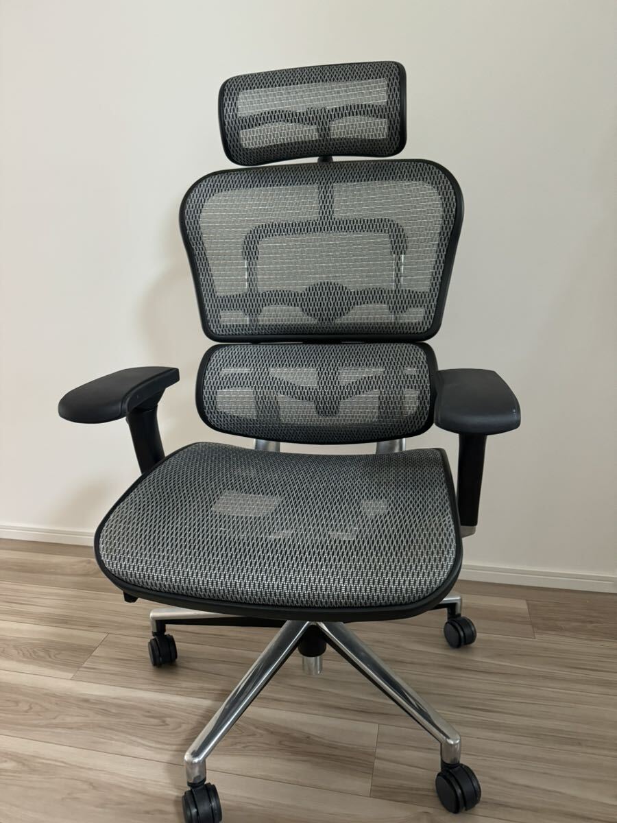 状態良好 Ergohuman エルゴヒューマン ベーシック ヘッドレスト有り