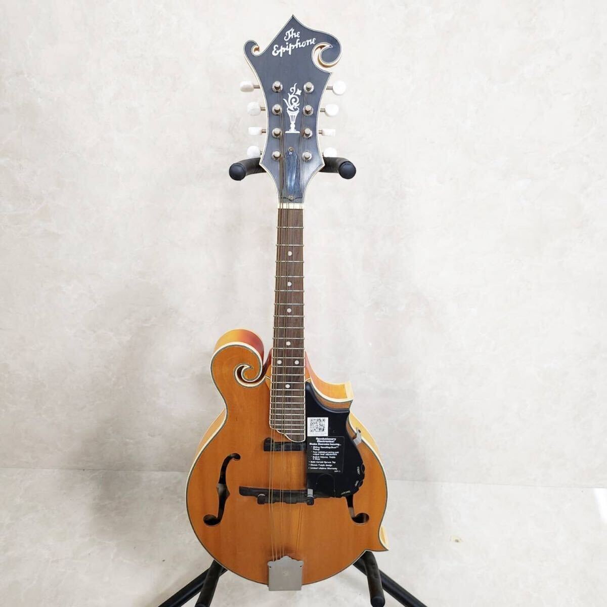 Epiphone MM-50E/VN エピフォン エレキマンドリン おまけ VOX AC30 AP