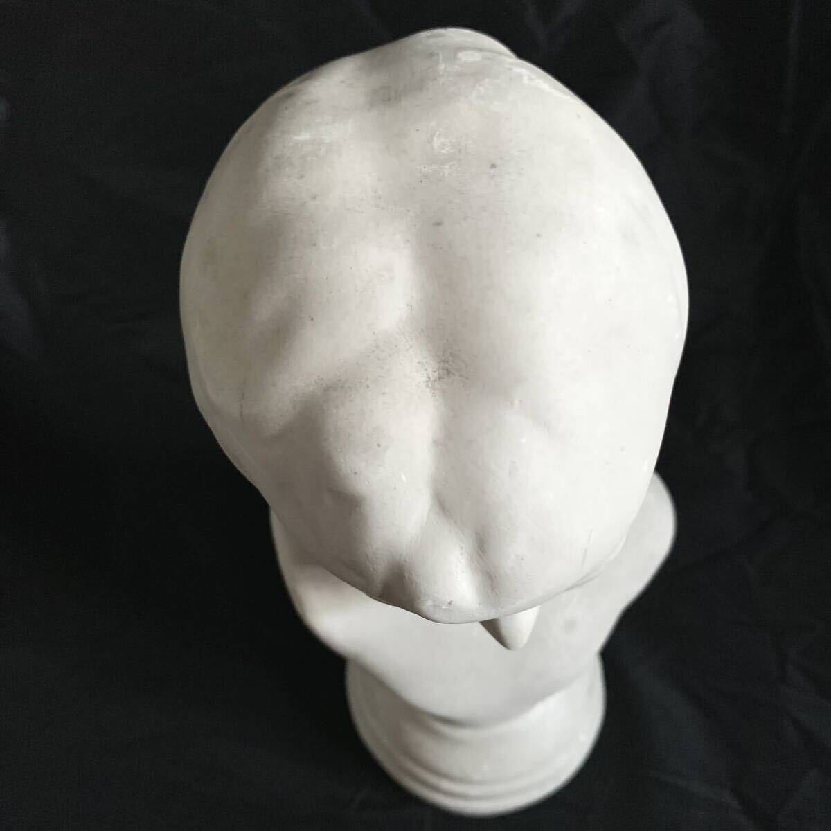 石膏像 子供 子ども デッサン スケッチ 美術用品 胸像 彫刻教材 美術