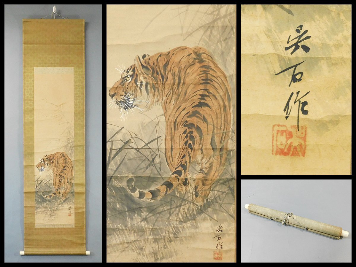 模写】三尾呉石 虎之図 日本画 紙本 軸装 掛軸 師 大橋翠石 日本美術