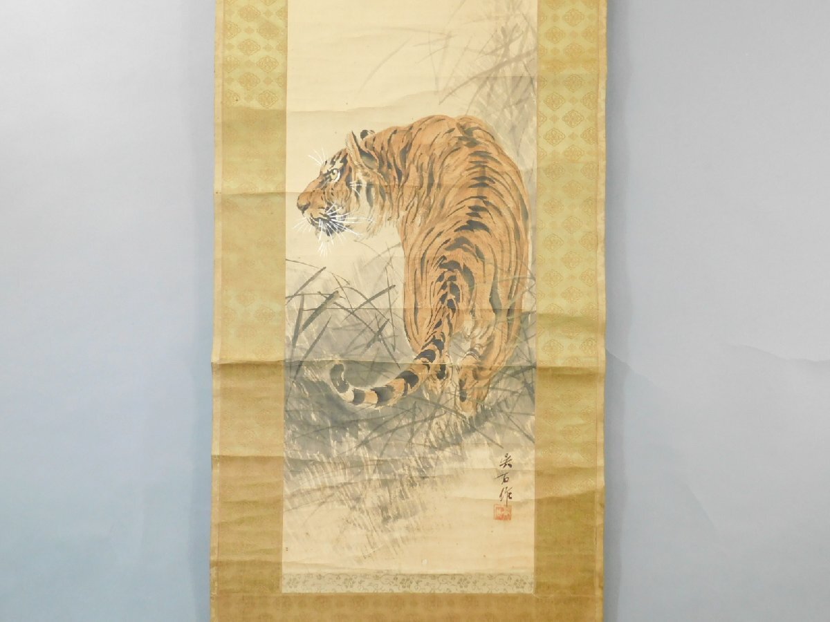模写】三尾呉石 虎之図 日本画 紙本 軸装 掛軸 師 大橋翠石 日本美術