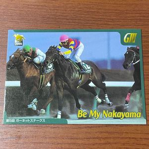 競馬トレーディングカード サラブレッド 2001年 サラブレッドカード2001の値段と価格推移は？｜9件の売買データから