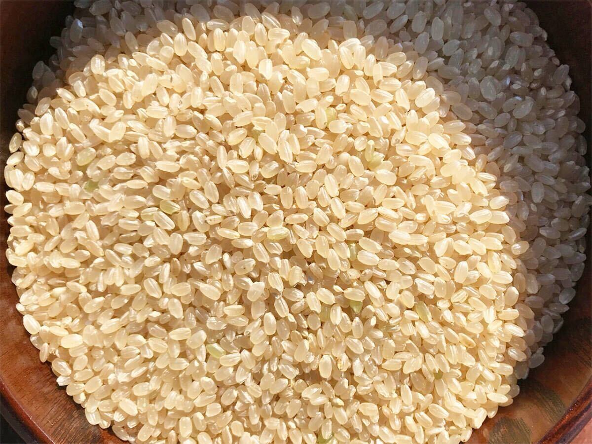 【新米】令和６年度 昔ながらの「稲架(はさ)掛け米」天日干し 岩手県産 ササニシキ 玄米 20Kg 送料無料 !!_4