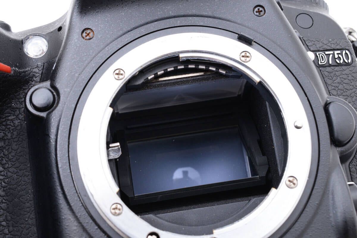 【美品】 ニコン Nikon D750 ボディ 元箱付属_10