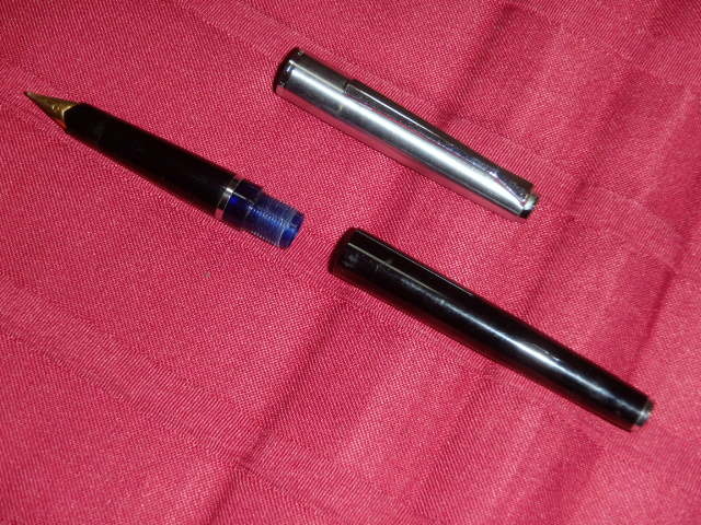 ペリカン　シルベクサ　万年筆_5