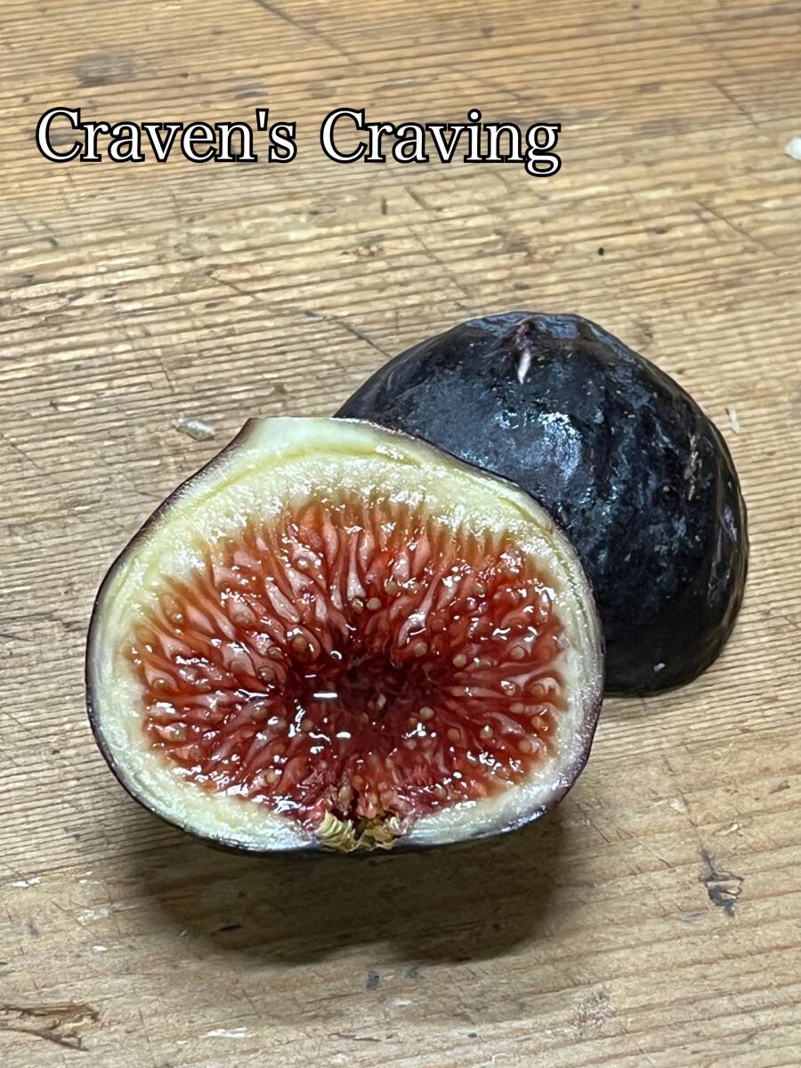 Craven's Craving（クレイヴェンズ・クレービング）世界の評価は