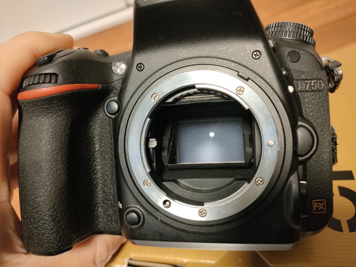 【ジャンク品】Nikon D750 ボディ（純正充電器付き） Nikon D750 ジャンク 通電せず 本体割れあり 付属品は新品箱付き D750