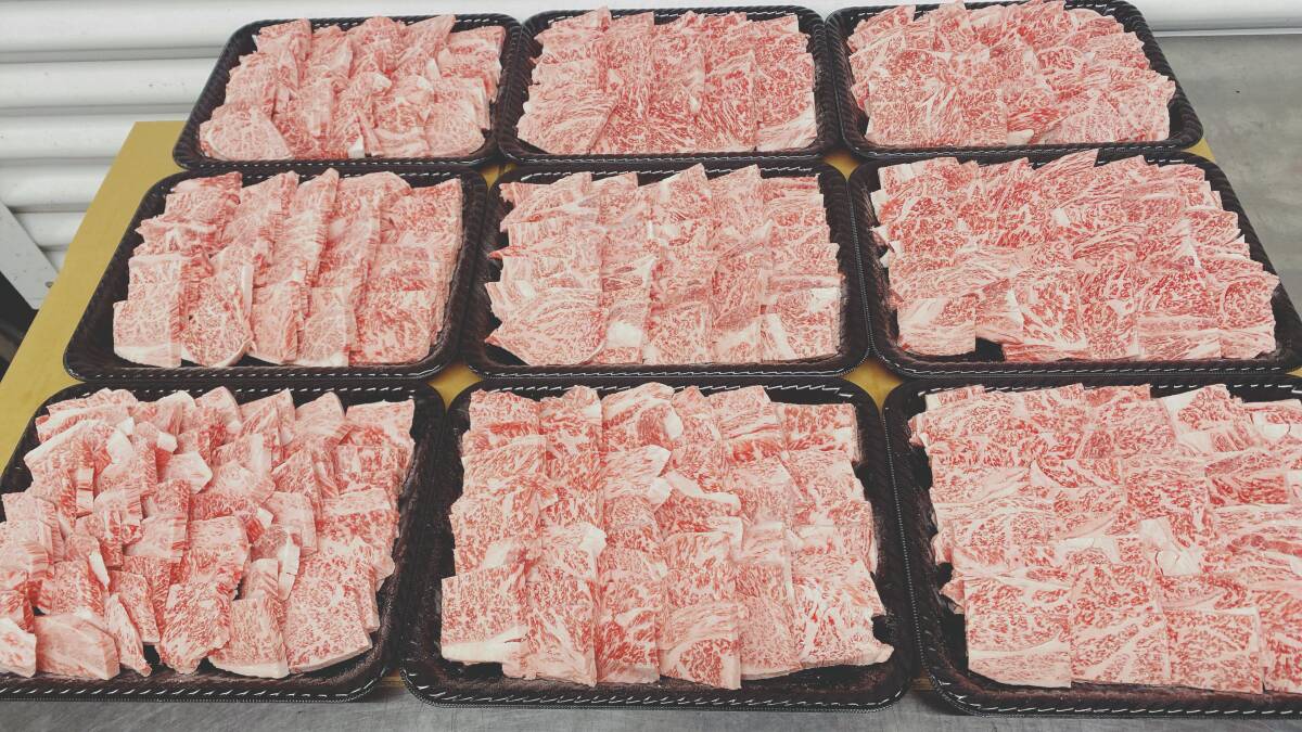 定番人気，格安 ９個出品 現物販売 鹿児島県産 A5リブロース焼肉 1.0ｋｇ 黒毛和種 すきやき しゃぶしゃぶ 贈答用 贈り物(ロース)｜売買されたオークション情報、yahooの商品情報をアーカイブ公開 - オークフ ロース