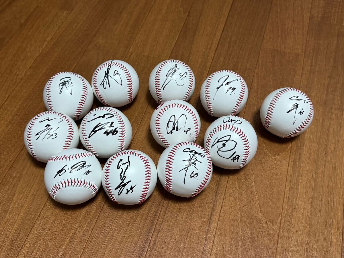 広島東洋カープ　日南キャンプ2025新井貴浩、黒田博樹、菊池涼介、島内颯太郎　他直筆サインボールセット１２選手_1