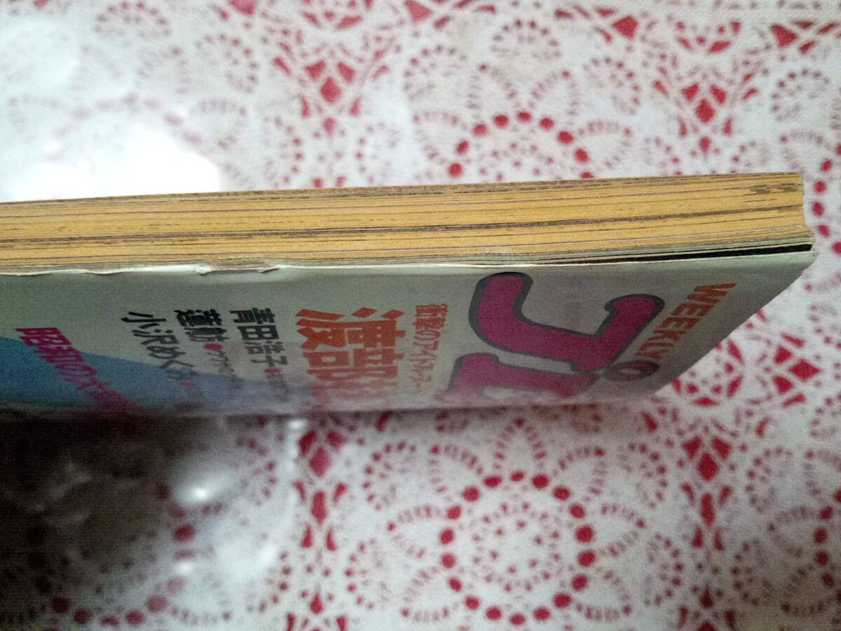 週刊プレイボーイ 1987年11月17日号 (No.48)森恵(表紙)/渡部桂子