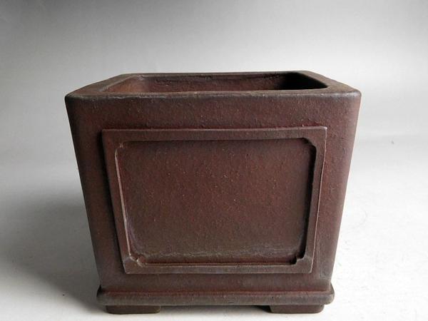 【盆栽 樂屋】◆松泉紫泥額入下帯正方鉢◆
