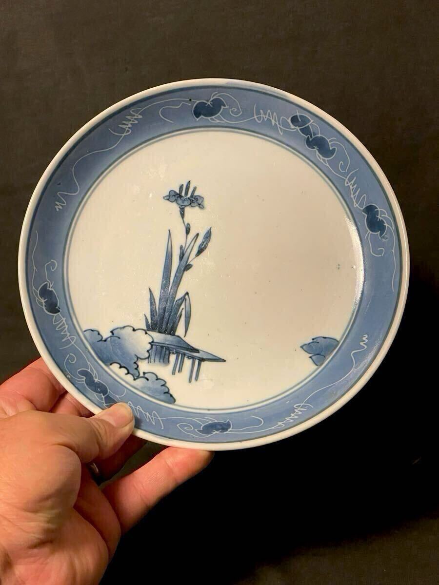 洒落たデザイン！江戸前期 古伊万里・藍九谷 盆栽柄の構図 余白活かし