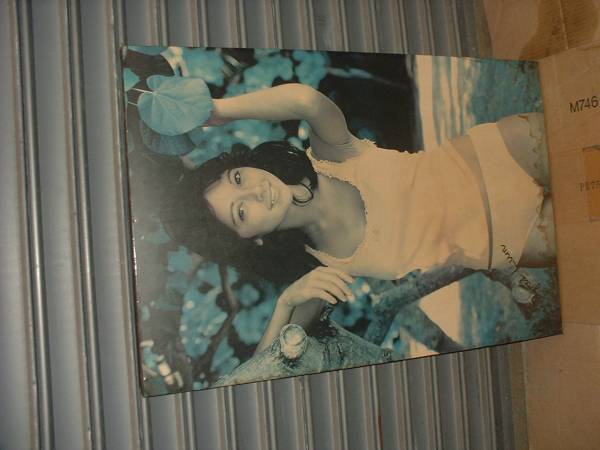 昭和５２年から事務所で逆光向きで飾っている アグネ スラム