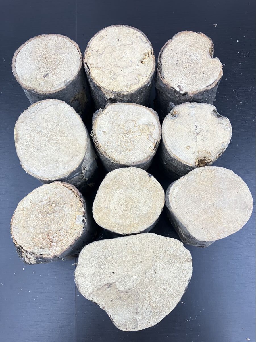 ベトナム材・VN材☆特価☆　硬め　B材10本セット②_1