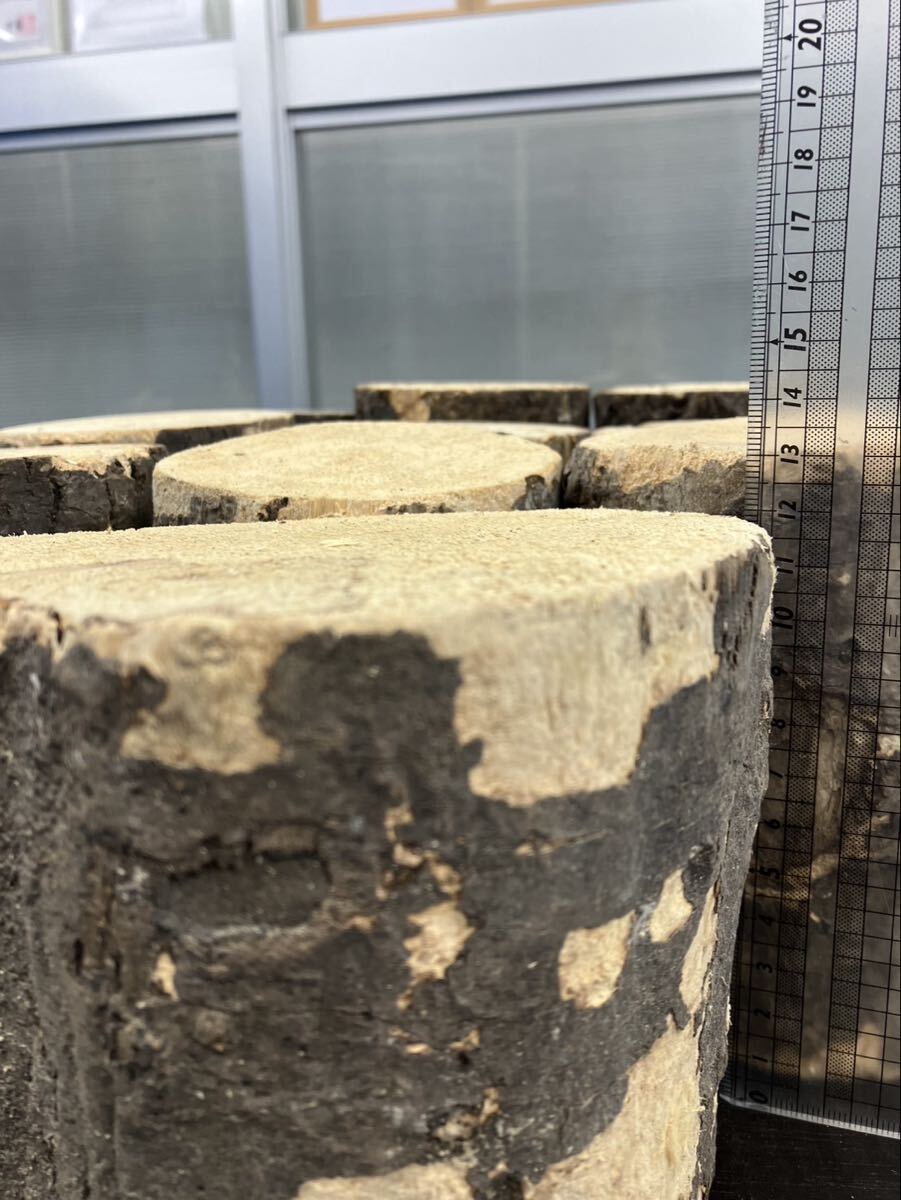 ベトナム材・VN材☆特価☆　硬め　B材10本セット②_2