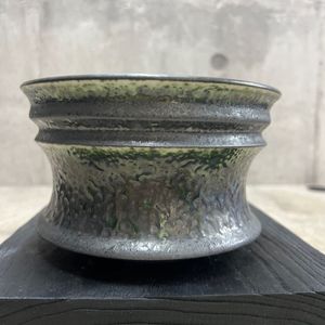 2025年08月｜Yahoo!オークション(旧ヤフオク!)の盆栽