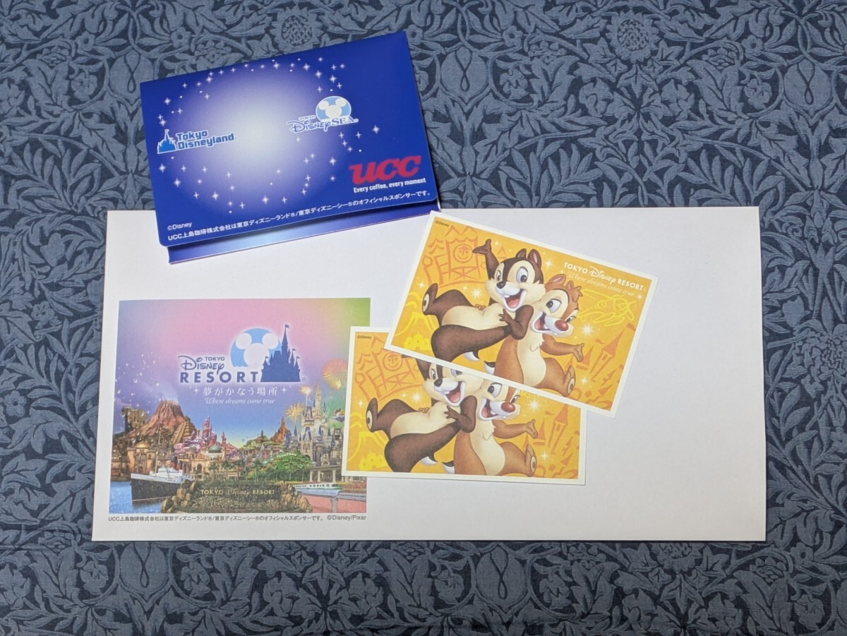 東京ディズニーリゾートパークチケット　ペア 【有効期限2025年12月31日】_1