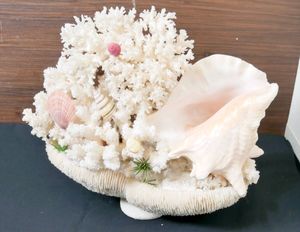 白珊瑚 置物の値段と価格推移は？｜40件の売買データから白珊瑚 置物の