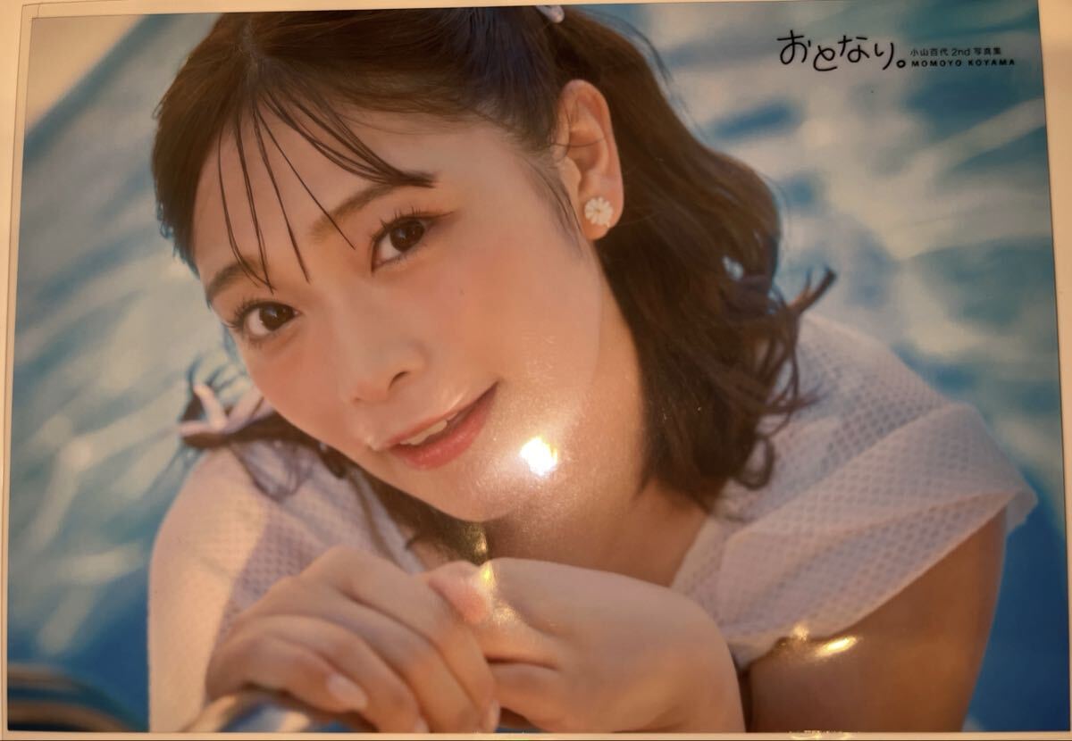 小山百代 1st写真集 となり。 サイン本 ② Amazon.co.jp: 小山百代1st写真集 となり。 : 小山百代, 鈴木健太
